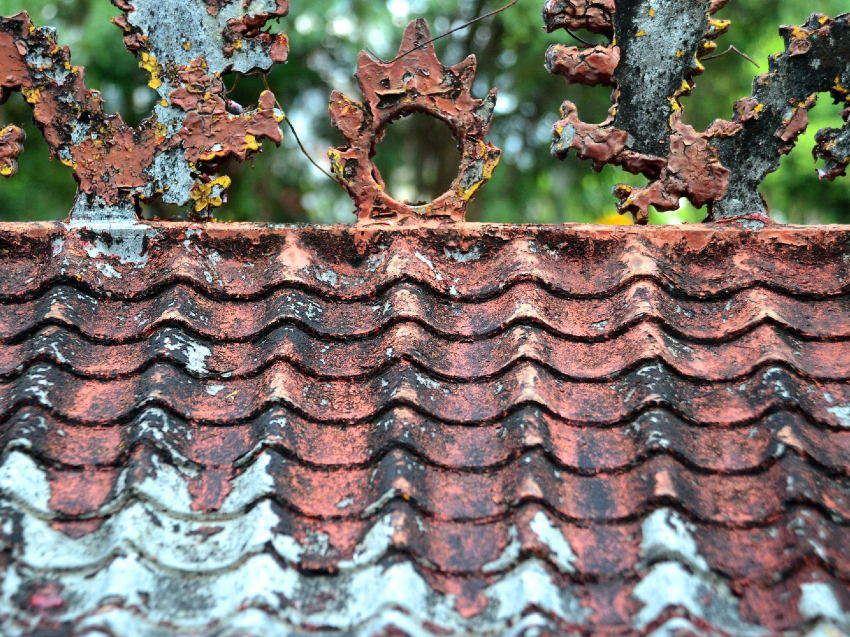 zardzewiały dach